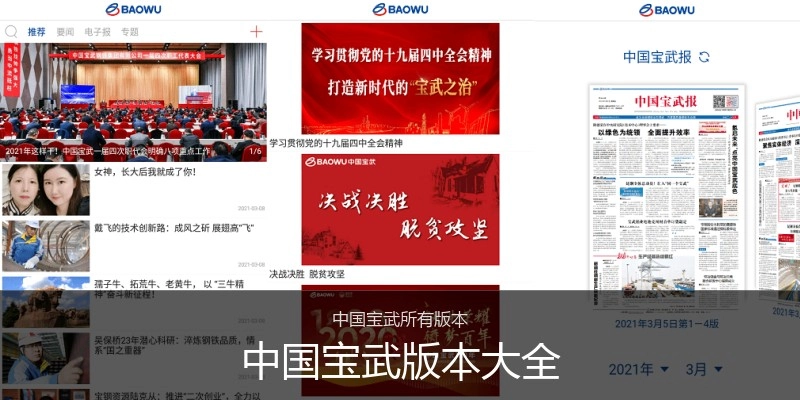 中国宝武版本大全