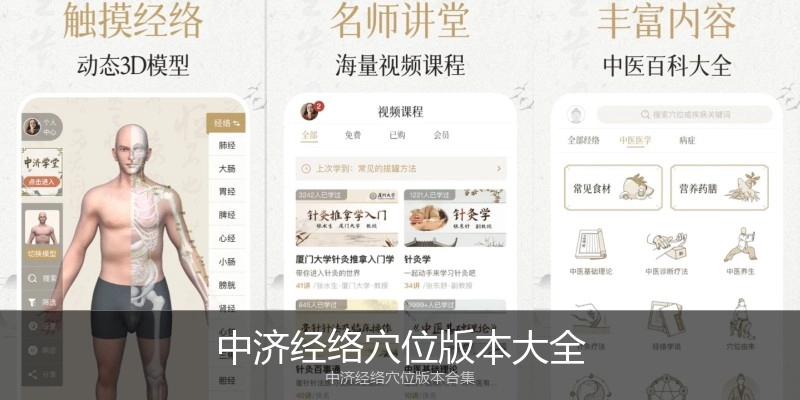 中济经络穴位版本大全