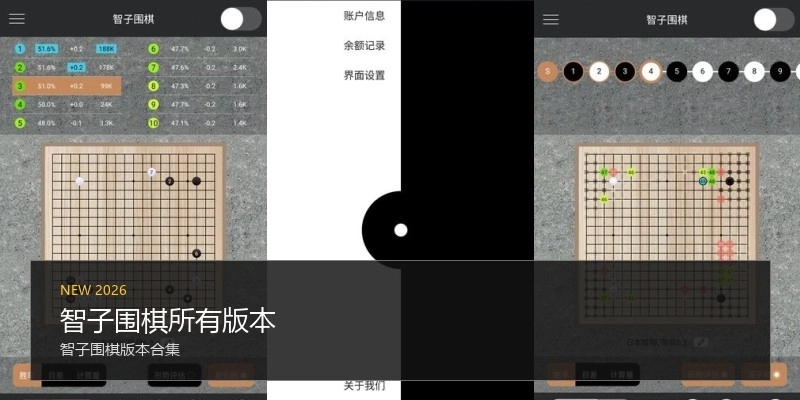 智子围棋所有版本