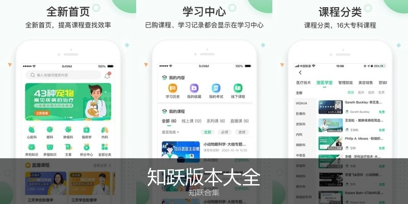 知跃版本大全