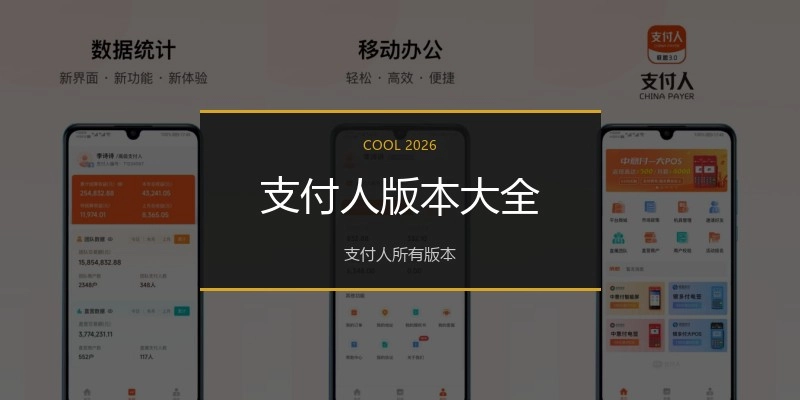 支付人版本大全