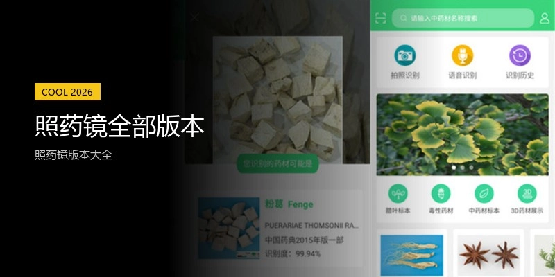 照药镜全部版本