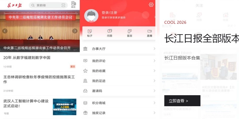 长江日报全部版本