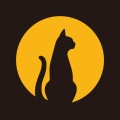 黑猫盒子汉化版