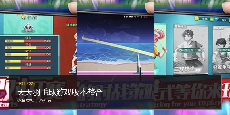 天天羽毛球游戏版本整合