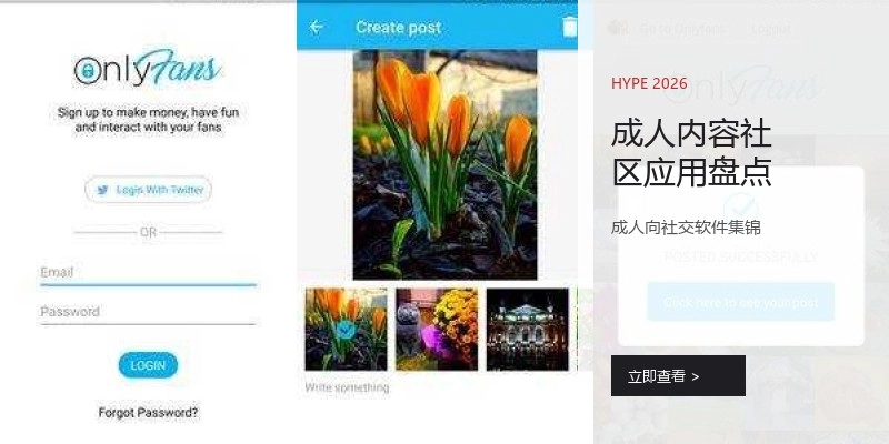 成人内容社区应用盘点