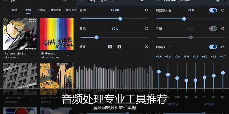 音频处理专业工具推荐