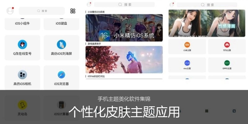 个性化皮肤主题应用