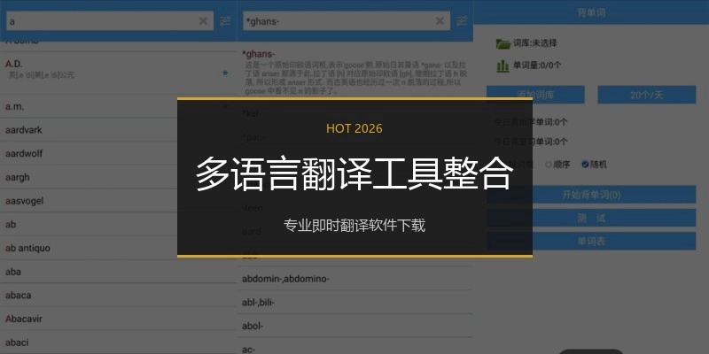 多语言翻译工具整合