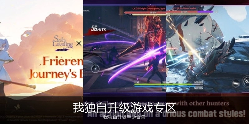 我独自升级游戏专区