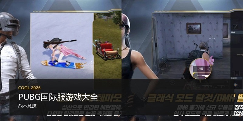 PUBG国际服游戏大全