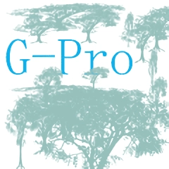 G-Pro改比例软件