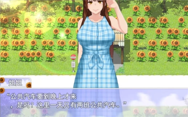 我的暑假秘密回忆冷狐版5