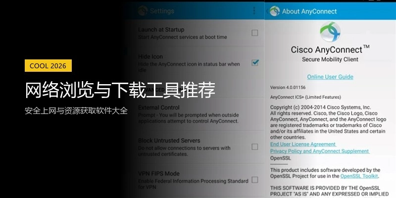 网络浏览与下载工具推荐