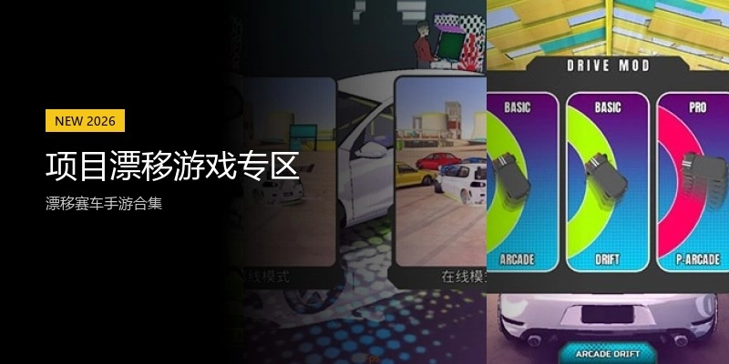 项目漂移游戏专区