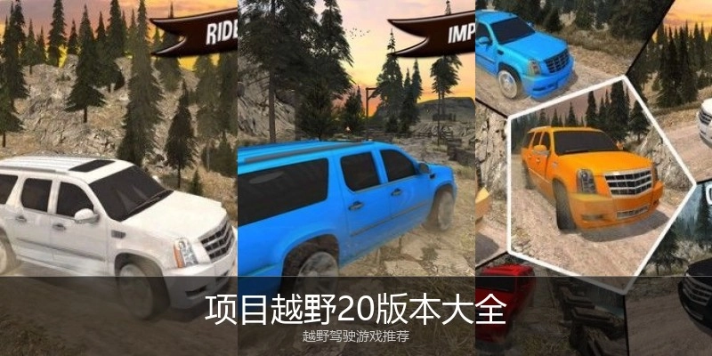项目越野20版本大全