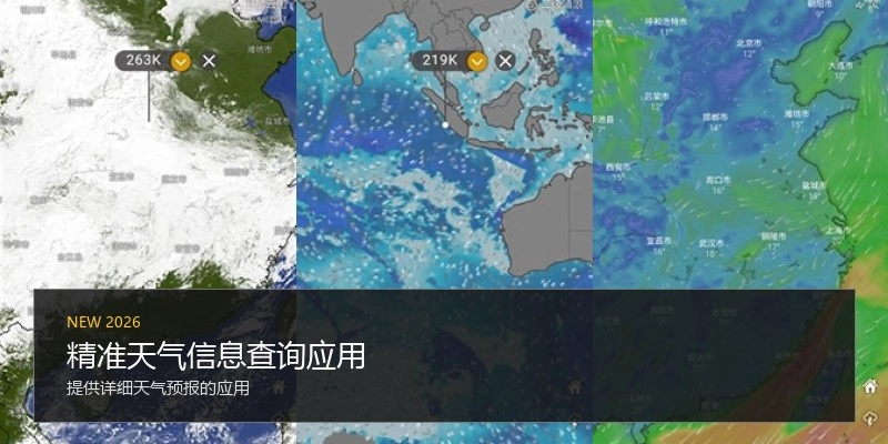 精准天气信息查询应用