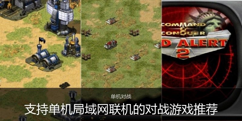支持单机局域网联机的对战游戏推荐