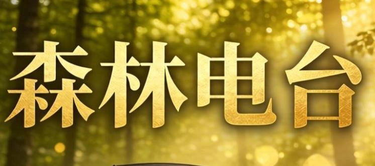森林电台app下载-森林电台安卓版/官方版/最新版-森林电台版本大全