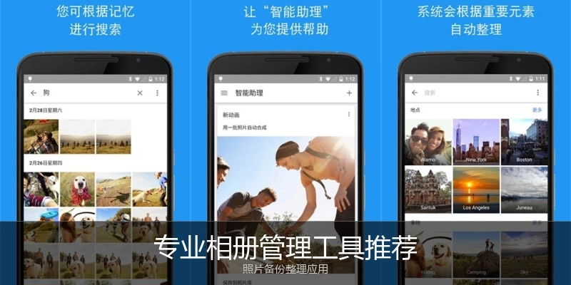 专业相册管理工具推荐