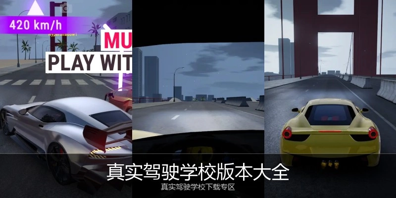 真实驾驶学校版本大全