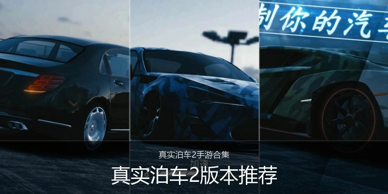 真实泊车2版本推荐