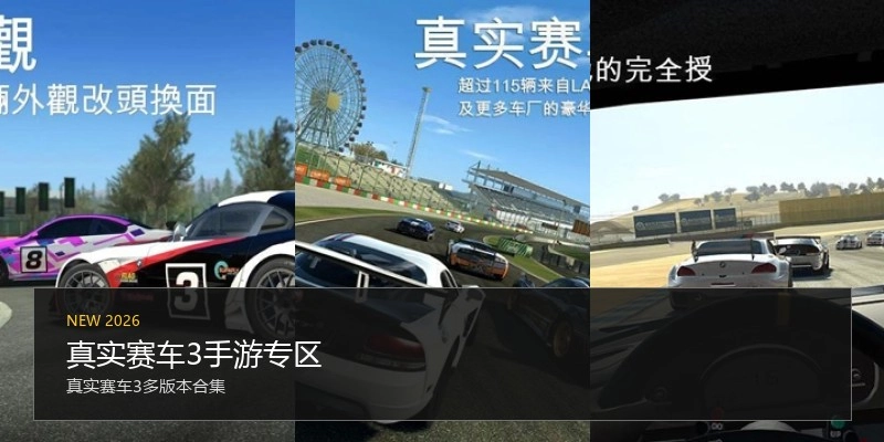 真实赛车3手游专区