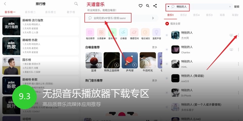无损音乐播放器下载专区