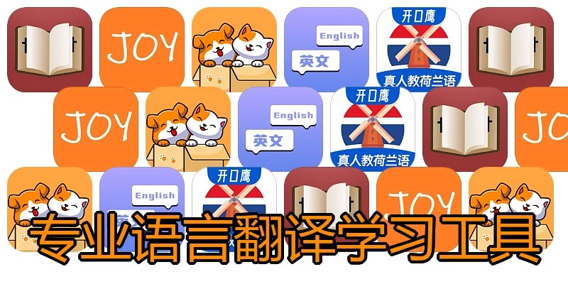 专业语言翻译学习工具