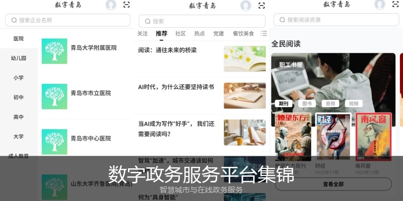 数字政务服务平台集锦