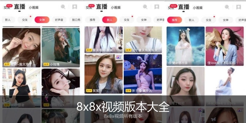 8x8x视频版本大全