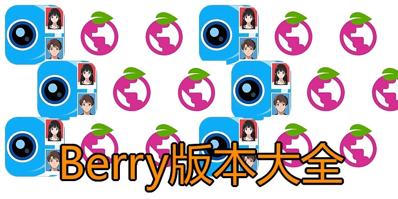 Berry版本大全