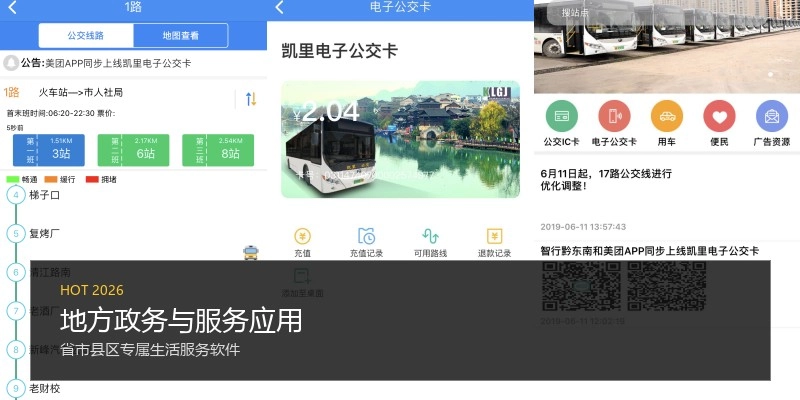 地方政务与服务应用