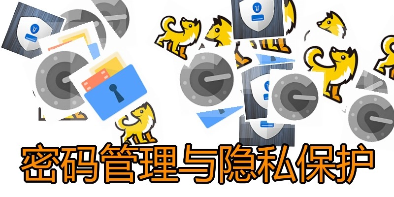 密码管理与隐私保护