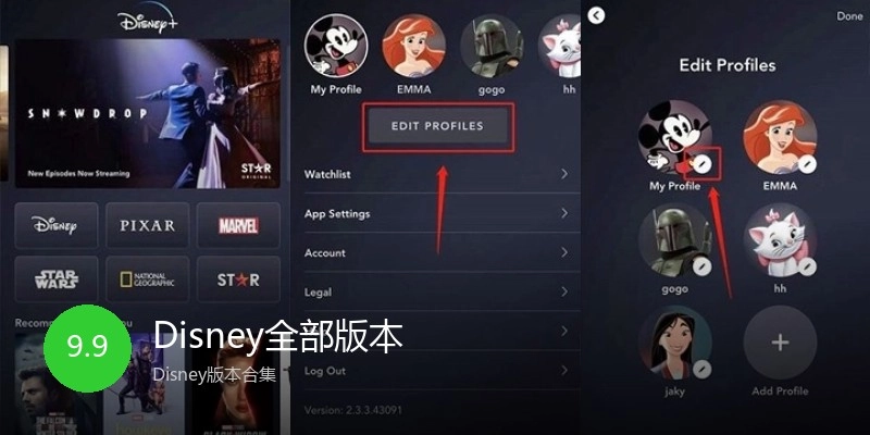 Disney全部版本