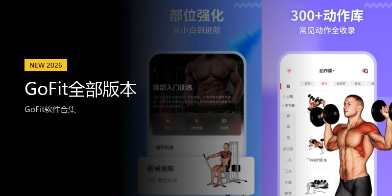 GoFit全部版本