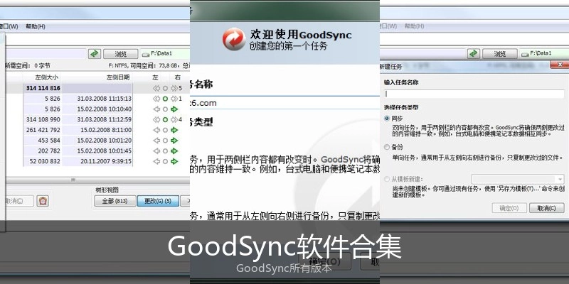 GoodSync软件合集