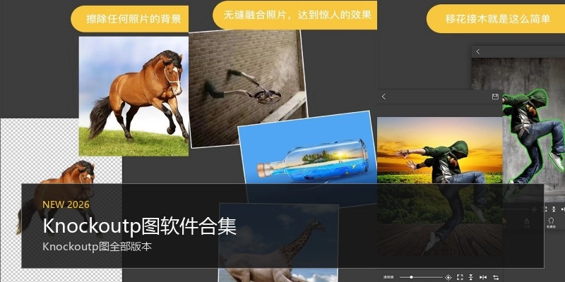 Knockoutp图软件合集