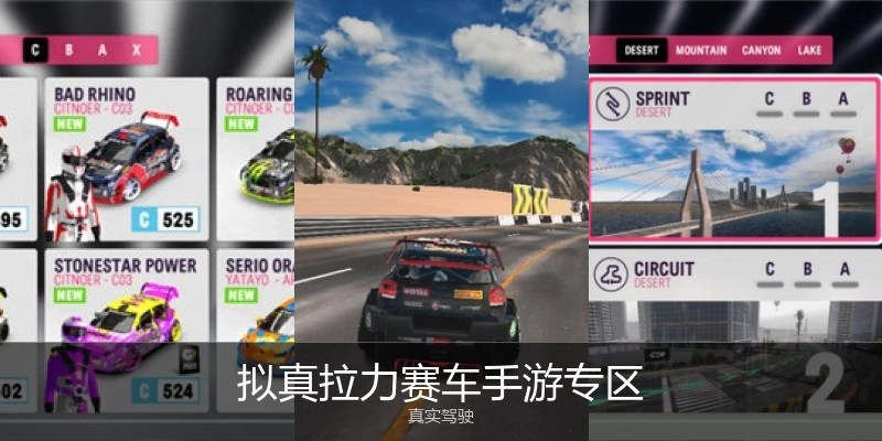 拟真拉力赛车手游专区
