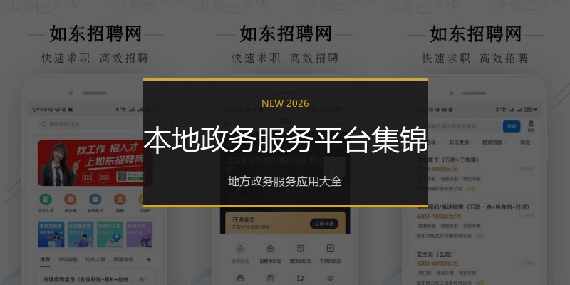本地政务服务平台集锦