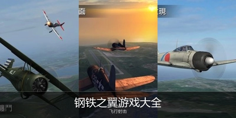 钢铁之翼游戏大全
