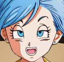 龙珠跨维度愿望