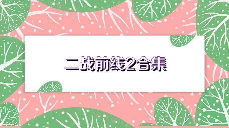 二战前线2游戏合集
