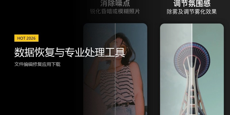 数据恢复与专业处理工具
