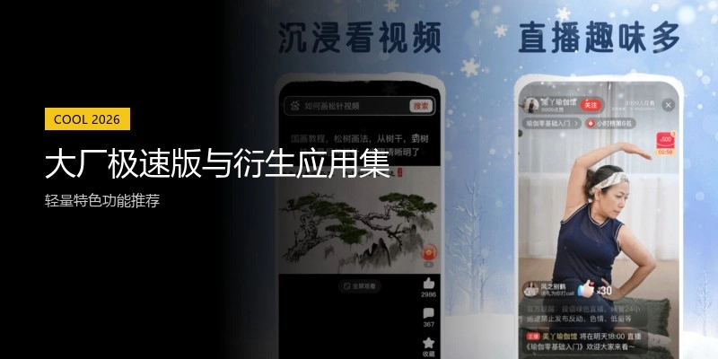 大厂极速版与衍生应用集