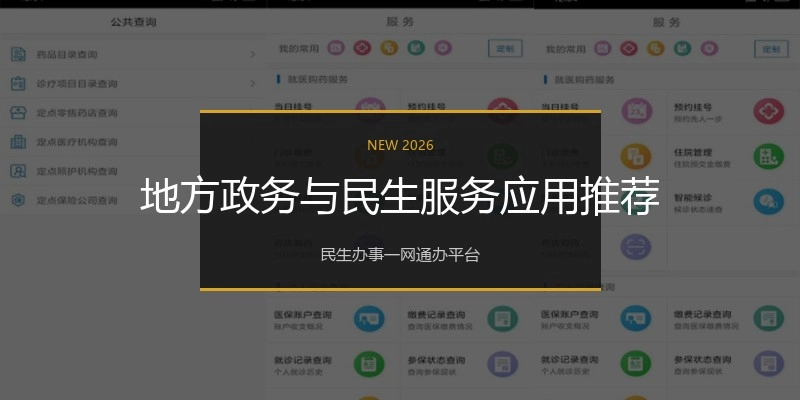 地方政务与民生服务应用推荐
