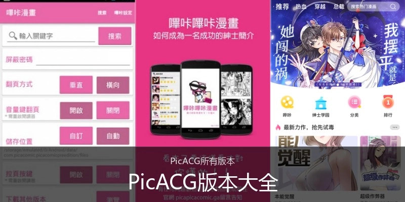 PicACG版本大全