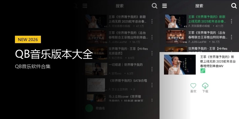 QB音乐版本大全