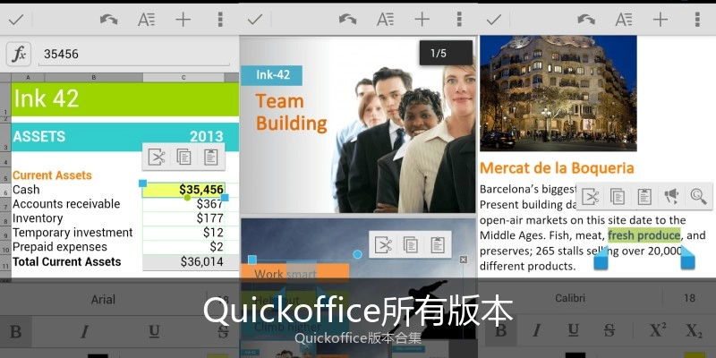 Quickoffice所有版本