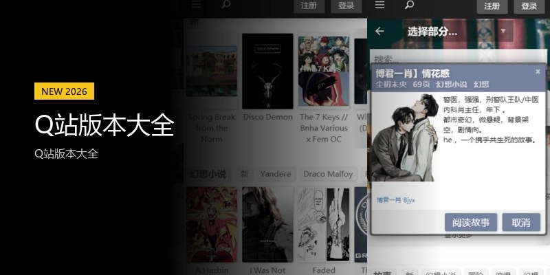 Q站版本大全